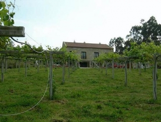 la bodega al fondo